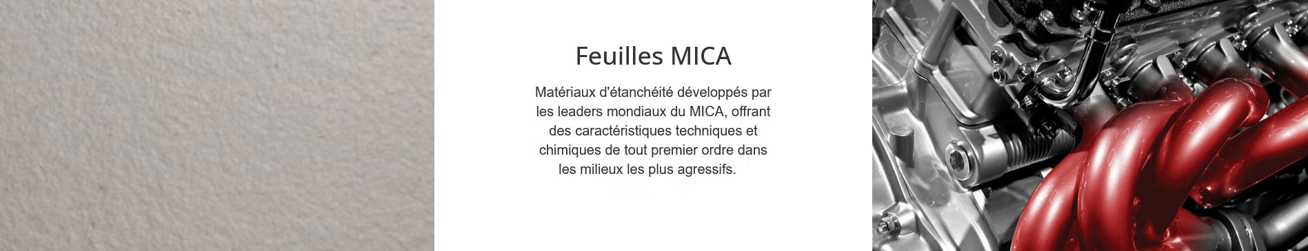 feuilles-feuille-mica-fr